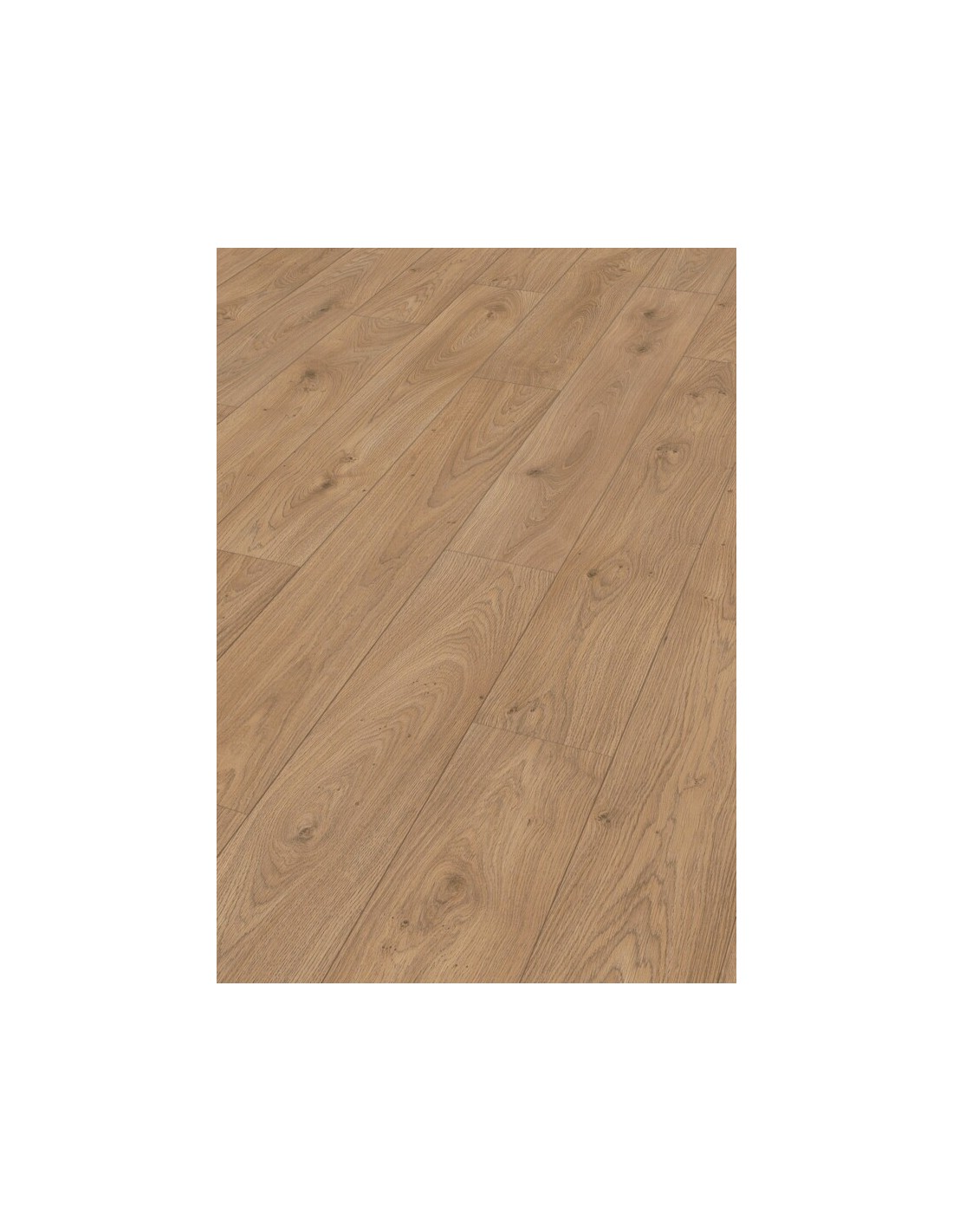 Meister. LD 150. Roble Chianti 7149